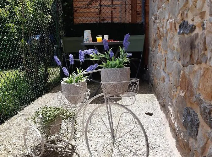 Apartamento de 1 Dormitorio